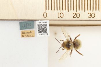 Media type: image;   Entomology 812278 Aspect: labels